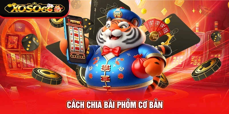 cach-chia-bai-phom-co-ban