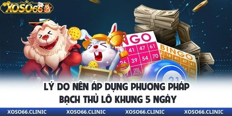 ly-do-nen-ap-dung-bach-thu-lo-khung-5-ngay