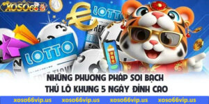 Những phương pháp soi bạch thủ lô khung 5 ngày