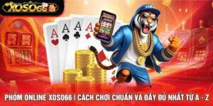 Phỏm online Xoso66 – Cách chơi chuẩn và đầy đủ nhất từ A đến Z